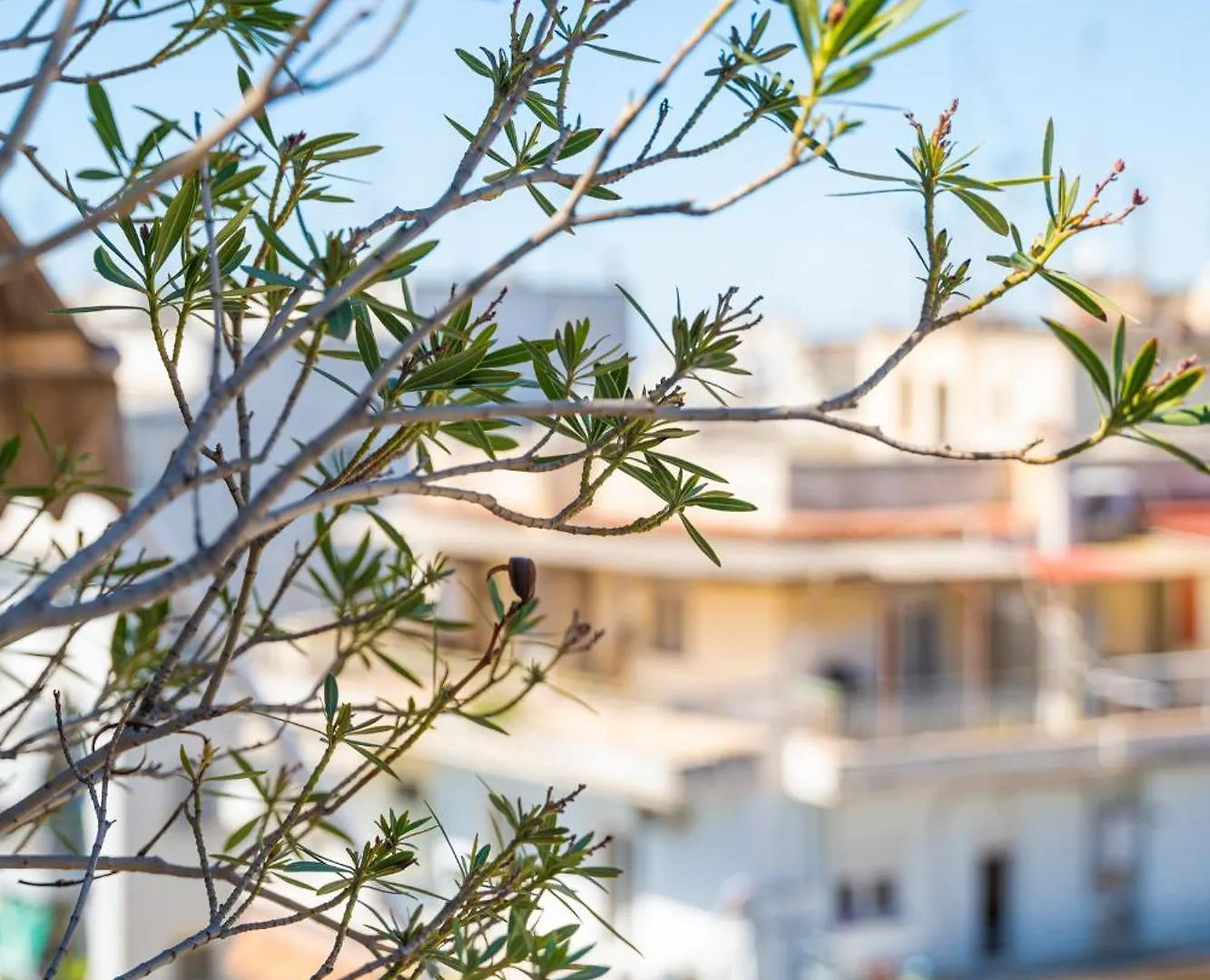 Hephaestus Veranda Apartment In The City Center By Binobi! Thessaloniki Griekenland